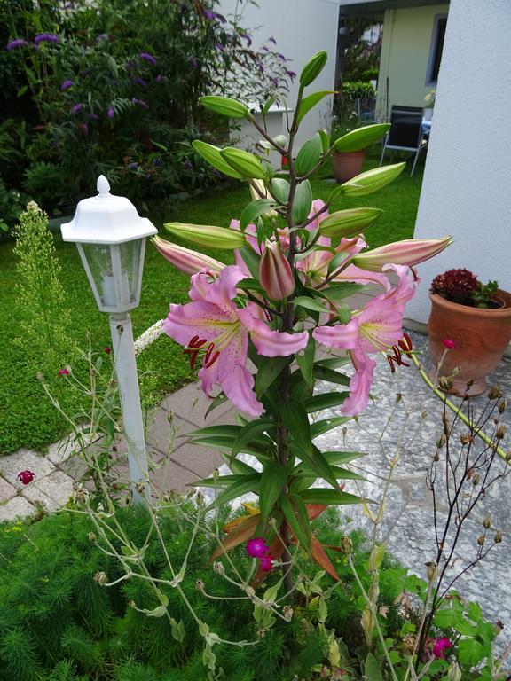 Ferienwohnung Traudl Singer Innsbruck Exteriér fotografie